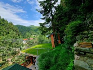 Naturlandskabet i nærheden af feriehuset + 26 billeder