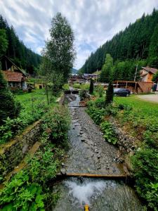 a stream of water in a field with trees at Zumzetul Raului in Rucăr