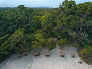 a group of trees with umbrellas in the middle at Silver Sand Beach Resort Neil in Neil Island