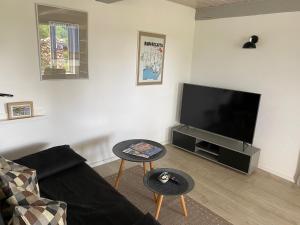 een woonkamer met een bank en een flatscreen-tv bij "Engelsby-Dorf" in Flensburg