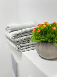 Gallery image of White Door Apartments in Haifa