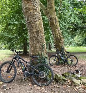 two bikes parked next to two trees in a park at Domaine de Fresnoy in Loison-sur-Créquoise