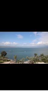 a view of the ocean with palm trees and the beach at Lake Breeze of Tiberias in Tiberias