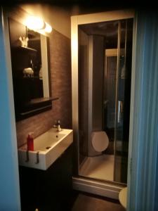 a bathroom with a sink and a glass shower at Hotell Floras Trädgård in Öregrund