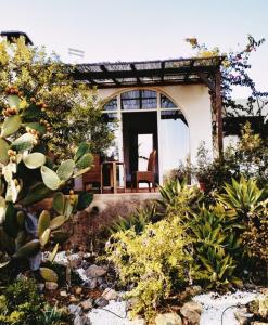 ein Haus mit einer Veranda mit einem Stuhl und Pflanzen in der Unterkunft Casa Papoula in São Brás de Alportel