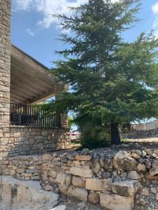 ein Baum vor einer Steinmauer mit einem Baum in der Unterkunft Casa Major in Mont-ral