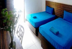 two blue beds in a room with a plant at RedDoorz at Sir G Hotel D'Mall Boracay in Boracay