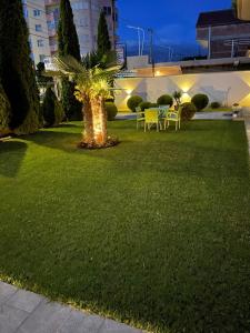a lawn with chairs and a palm tree at night at Rent Rooms Kapri in Pogradec