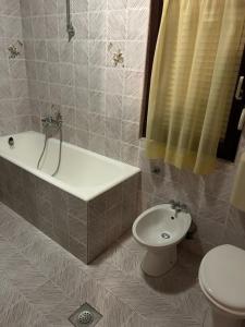 La salle de bains est pourvue de toilettes, d'un lavabo et d'une douche. dans l'établissement Room in Sukosan with balcony, air conditioning, WiFi 5188-4, à Sukošan