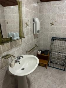 La salle de bains est pourvue d'un lavabo et d'un miroir. dans l'établissement Room in Sukosan with balcony, air conditioning, WiFi 5188-4, à Sukošan
