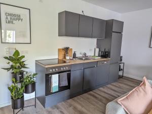 eine Küche mit einer Spüle und einer Arbeitsplatte in der Unterkunft ViLiPa-Apartments modernes Wohnen mitten im Zentrum am Bachhaus in Eisenach