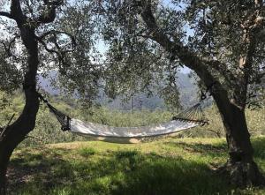 een hangmat hangend aan een boom in een veld bij Al chiaro di luna (009029-LT-0962) in Finale Ligure