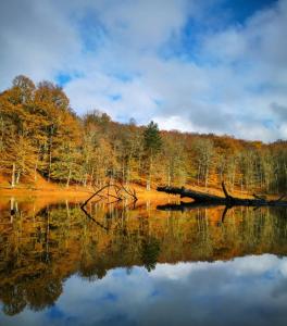 Gallery image of Casetta a Monte Sant'á in Monte SantʼAngelo +26 photos