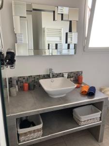 a bathroom with a sink and a large mirror at La Batie Saint-André in Redessan