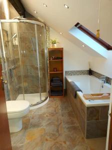a bathroom with a shower and a tub and a toilet at Riverside Retreat in Llandysul
