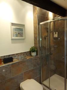 a bathroom with a toilet and a glass shower at Riverside Retreat in Llandysul