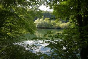 a view of a lake through the trees at La Villa du Papetier in Boussières