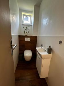 a bathroom with a toilet and a sink at Prázdninový dom in Mlynčeky