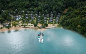 an aerial view of a dock on a lake at TreeHouse Villas - Adults Only in Ko Yao Noi