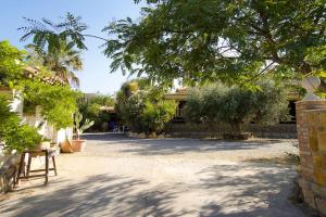 une cour avec des arbres et une maison en arrière-plan dans l'établissement Villa en la Vega del pueblo, à Cantoria
