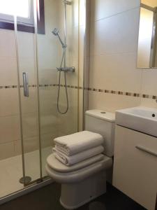 a bathroom with a shower and a toilet and a sink at Cozy Apartment in Žabljak