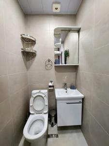 a small bathroom with a toilet and a sink at Nika's Apartment in an Old Tbilisi. Vere. in Tbilisi City