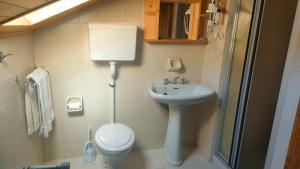 a small bathroom with a toilet and a sink at Camere vecchio borgo in Bormio