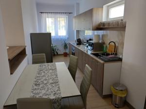 a kitchen with a table with chairs and a counter top at TSG apartament 2 in Valea lui Mihai