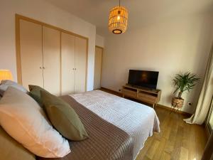 um quarto com uma cama e uma televisão em LE BAHIA em Nice