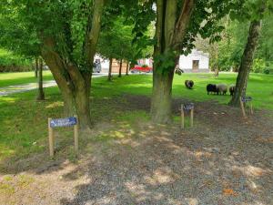 a group of trees and signs in a park with animals at Le domaine du château blanc à 10 minutes de Paira Daiza in Jurbise