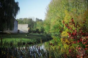 a view of a river with a house and trees at Le domaine du château blanc à 10 minutes de Paira Daiza in Jurbise