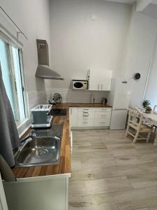 eine Küche mit einer Spüle aus Edelstahl und Holzböden in der Unterkunft Apartamentos Redondela in Madrid