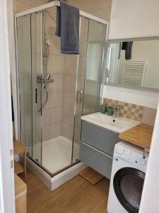 Appartement cosy في Saint-Martin-Longueau: حمام مع دش وغسالة ملابس