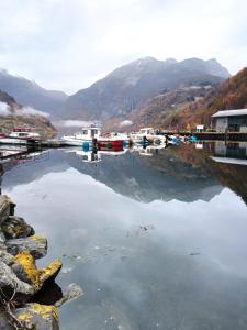 a body of water with a bunch of boats in it at Havila Hotel Geiranger in Geiranger