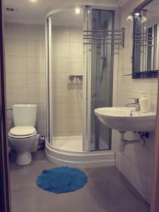 Holiday house with sauna في ريغا: حمام مع دش ومرحاض ومغسلة