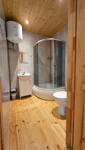 uma casa de banho com um chuveiro, um WC e um lavatório. em J&L GRADZKIE em Grądzkie