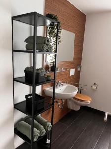 baño con estante con lavamanos y aseo en 4-h3rOeS Legoland Günzburg Wohnung 1, en Leipheim