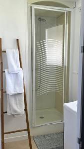 a shower with a glass door in a bathroom at les bungalows de Lisa Maria in SERRA DI FIUMORBO