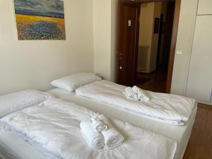 Fotografie z fotogalerie ubytování La Casa di Cris v destinaci Falcade