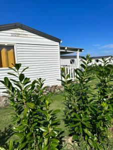 a house and some plants in front of a yard at les bungalows de Lisa Maria in SERRA DI FIUMORBO