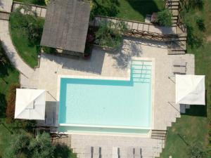 een uitzicht over een zwembad in een tuin bij Villa Le Ripe Apartments in Gambassi Terme