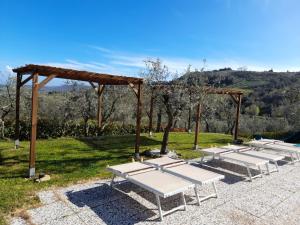a row of chaise lounges in a park at Villa Le Ripe in Gambassi Terme