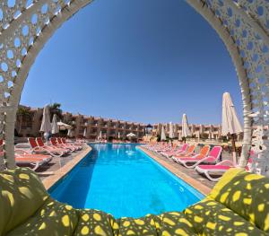 Bassein majutusasutuses Ivy Cyrene Sharm Resort Adults Friendly Plus 13 või selle lähedal