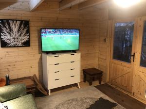 a living room with a television on a wooden wall at Cosy Garden Log Cabin in Salisbury