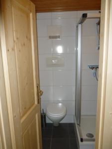 a small bathroom with a toilet and a shower at De Jutter Edelweiss in Gosau