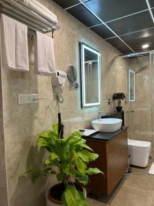 La salle de bains est pourvue d'un lavabo, de toilettes et d'une plante. dans l'établissement ROYAL ACE LUXUR, à Bangalore