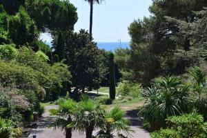 Naturlandskabet i nærheden af lejligheden