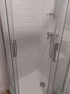 La salle de bains est pourvue d'une douche avec une porte en verre. dans l'établissement Appartement, Langres, à Langres