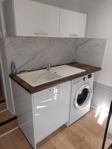 uma cozinha com um lavatório e uma máquina de lavar roupa em Appartement, Langres em Langres