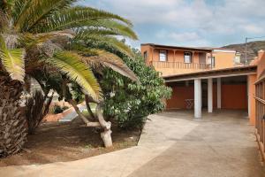 a palm tree in front of a house at Tegueste Entre Viñedos in Tegueste